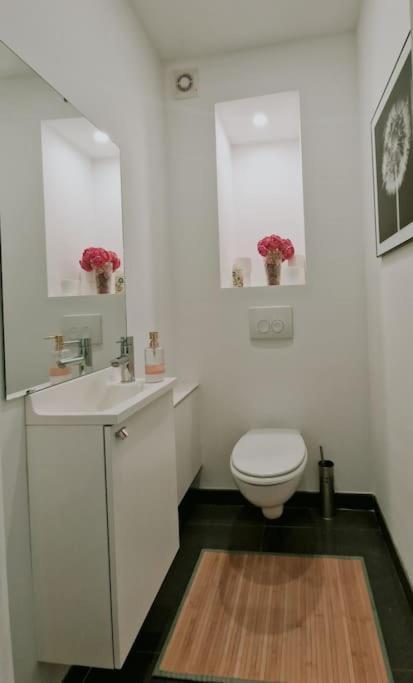 Le Cocon Du Midi - Appartement Cosy Brüksel Dış mekan fotoğraf